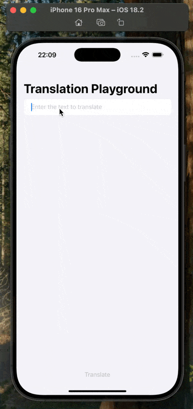 Translation App Playground.